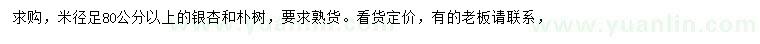 求購(gòu)米徑80公分以上銀杏、樸樹(shù)