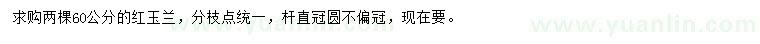 求購(gòu)60公分紅玉蘭
