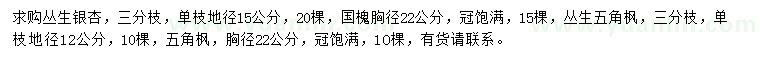 求購叢生銀杏、國槐、叢生五角楓等