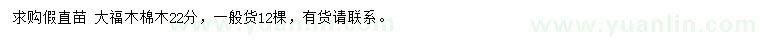 求購(gòu)22公分大福木棉木
