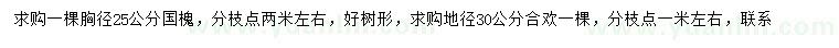 求購胸徑25公分國槐、地徑30公分合歡