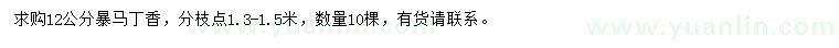 求購12公分暴馬丁香