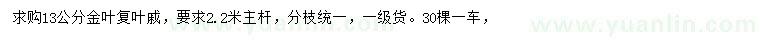求購13公分金葉復葉槭