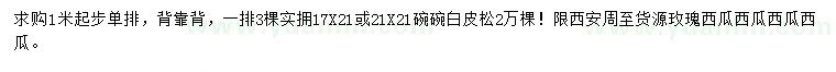 求購1米以上白皮松