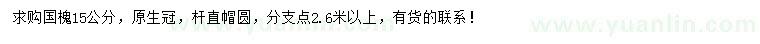 求購15公分國槐