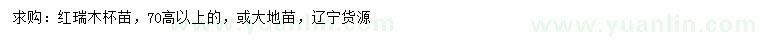 求購高70公分以上紅瑞木
