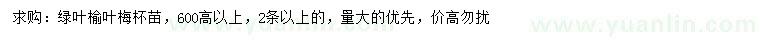 求購高600公分以上綠葉榆葉梅