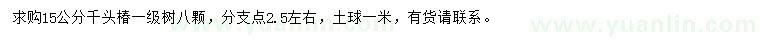求購(gòu)15公分千頭椿