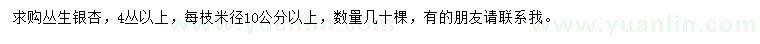 求購米徑10公分以上叢生銀杏