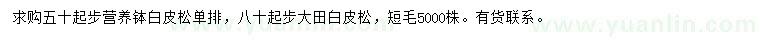 求購(gòu)50公分以上白皮松