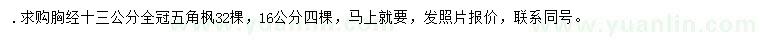 求購胸徑13、16公分五角楓