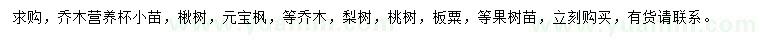 求購楸樹、元寶楓、梨樹等