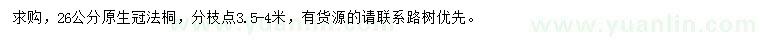 求購26公分法桐