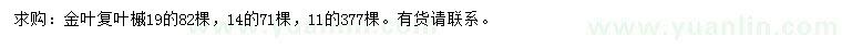 求購11、14、19公分金葉復(fù)葉槭