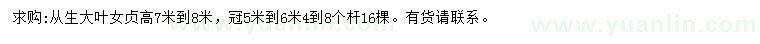 求購冠幅5-6米從生大葉女貞