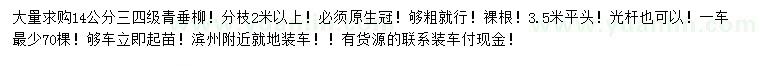求購(gòu)14公分青垂柳