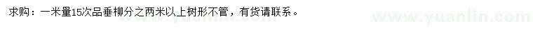 求購1米量15公分垂柳