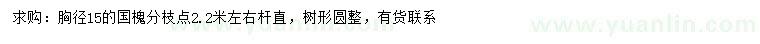 求購胸徑15公分國槐