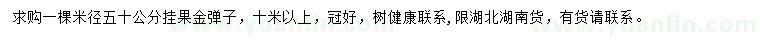 求購米徑50公分金彈子