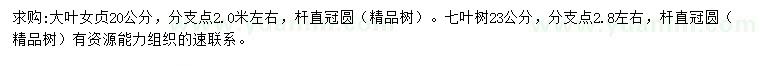 求購(gòu)20公分大葉女貞、23公分七葉樹(shù)