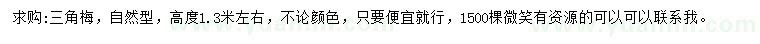 求購(gòu)高1.3米三角梅