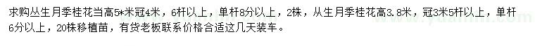 求購(gòu)冠幅3、4米叢生月季、桂花