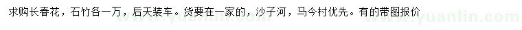 求購長春花、石竹