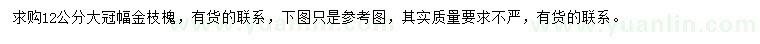 求購12公分金枝槐