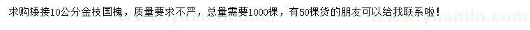 求購(gòu)10公分金枝國(guó)槐