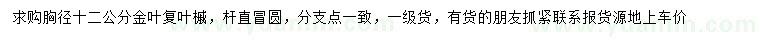 求購胸徑12公分金葉復(fù)葉槭