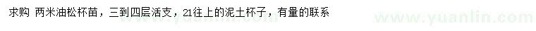 求購(gòu)2米油松