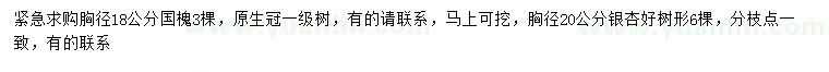 求購胸徑18公分國槐、胸徑20公分銀杏