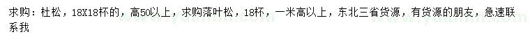 求購高50公分以上杜松、高1米以上落葉松