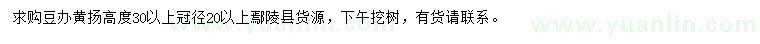 求購冠幅20公分以上黃楊