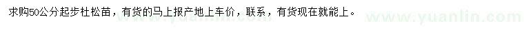 求購(gòu)50公分以上杜松苗