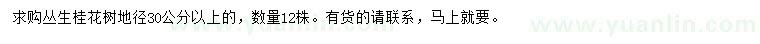 求購地徑30公分以上叢生桂花樹