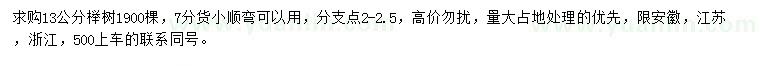 求購13公分櫸樹