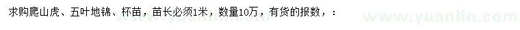 求購1米爬山虎、五葉地錦