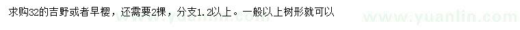 求購32公分吉野、早櫻