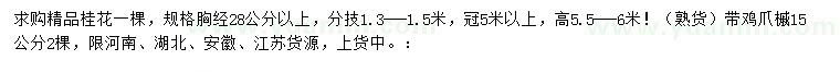 求購(gòu)胸徑28公分以上桂花、15公分雞爪槭