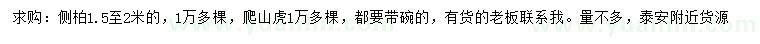 求購(gòu)1.5-2米側(cè)柏、爬山虎