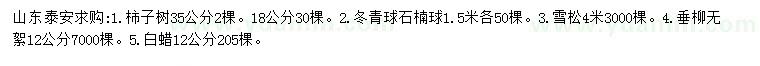 求購柿子樹、冬青球、石楠球等