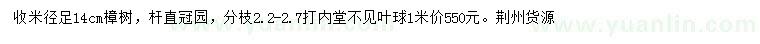 求購(gòu)米徑14公分樟樹