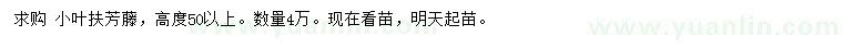 求購(gòu)高50公分以上小葉扶芳藤