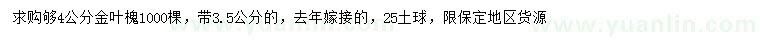 求購4公分金葉槐