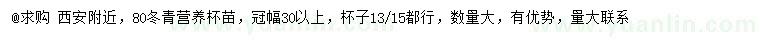 求購(gòu)高80公分冬青