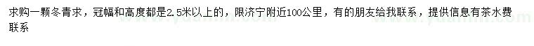 求購(gòu)冠幅2.5米以上冬青球