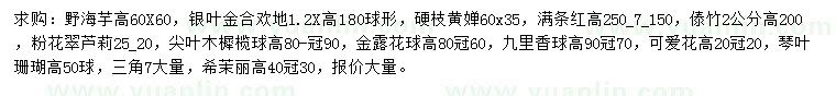 求購(gòu)野海芋、銀葉金合歡、硬枝黃嬋等