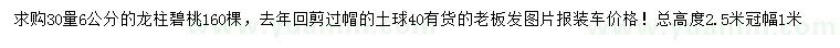 求購30量6公分龍柱碧桃