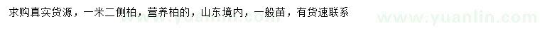 求購(gòu)1.2米側(cè)柏